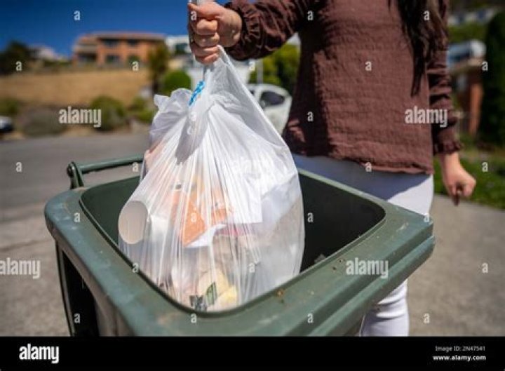 Can you throw slippers in the bin?