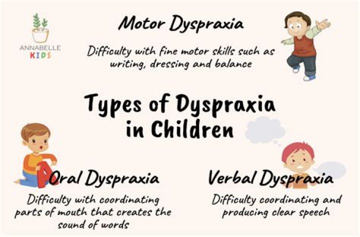 Does dyspraxia affect learning?