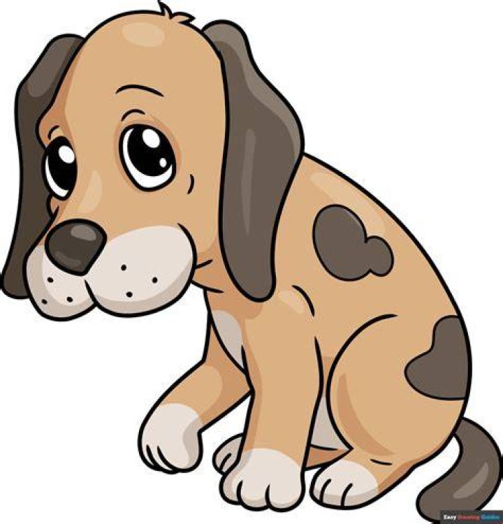 How do you make a sad dog happy?