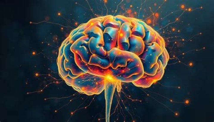 How does aluminum enter the brain?