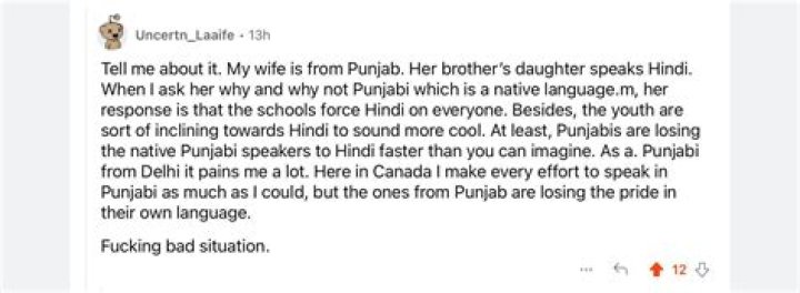 Is Punjabi language dying in India?