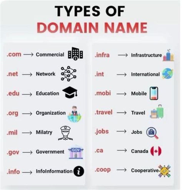 What are the 5 domain names?