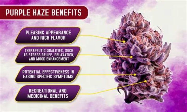 What is Purple Haze's range?