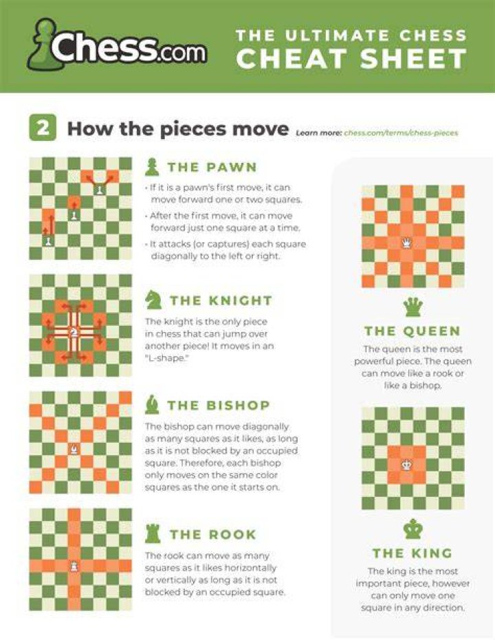 What is the last move in chess called?