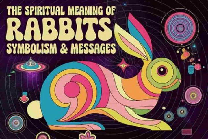 What is the spiritual meaning of rabbits?