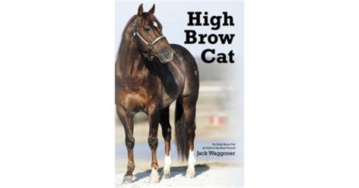 Who owns High Brow Cat?